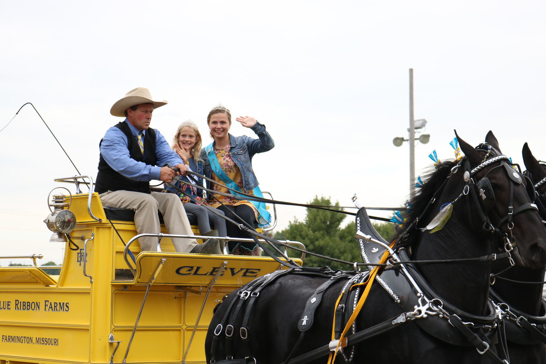 4-Horse Hitch 7